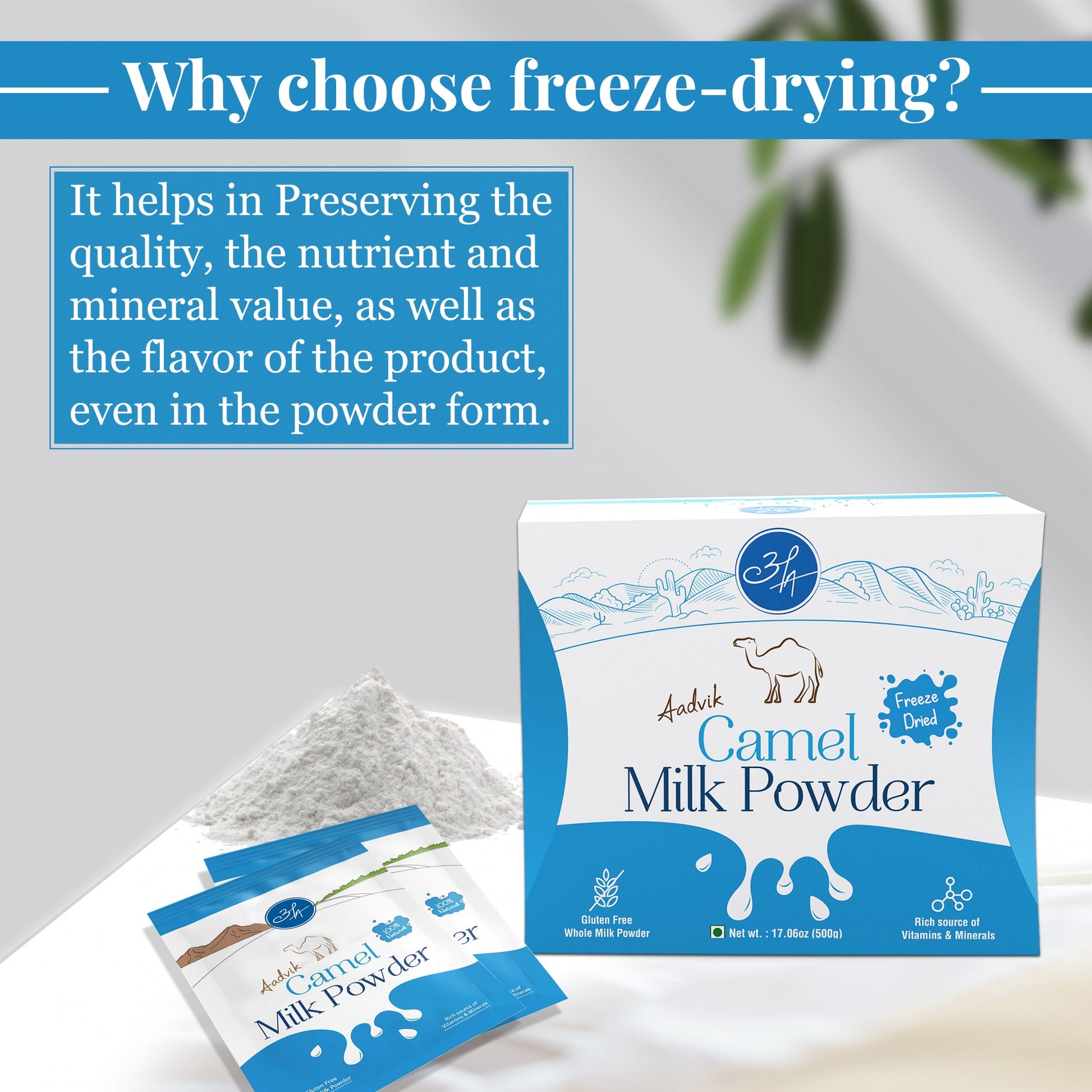 Freeze-dried camel milk