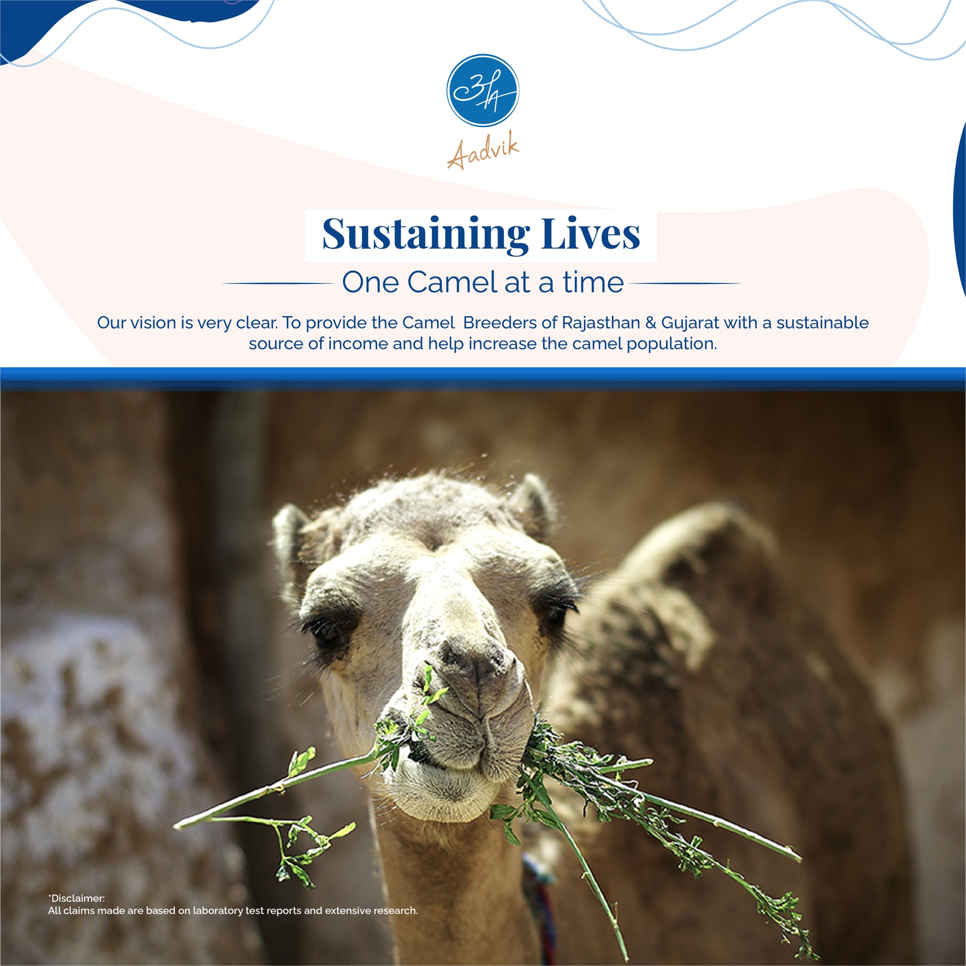 White gold – camel milk